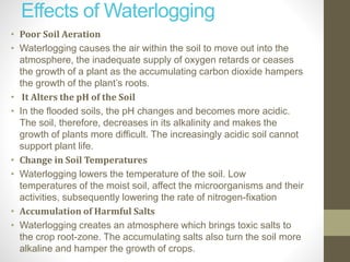 Effects of Waterlogging
• Poor Soil Aeration
• Waterlogging causes the air within the soil to move out into the
atmosphere, the inadequate supply of oxygen retards or ceases
the growth of a plant as the accumulating carbon dioxide hampers
the growth of the plant’s roots.
• It Alters the pH of the Soil
• In the flooded soils, the pH changes and becomes more acidic.
The soil, therefore, decreases in its alkalinity and makes the
growth of plants more difficult. The increasingly acidic soil cannot
support plant life.
• Change in Soil Temperatures
• Waterlogging lowers the temperature of the soil. Low
temperatures of the moist soil, affect the microorganisms and their
activities, subsequently lowering the rate of nitrogen-fixation
• Accumulation of Harmful Salts
• Waterlogging creates an atmosphere which brings toxic salts to
the crop root-zone. The accumulating salts also turn the soil more
alkaline and hamper the growth of crops.
 