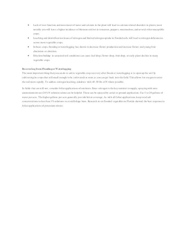 argumentative essay topics on abortion