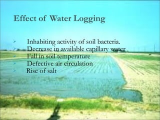  Inhabiting activity of soil bacteria.
 Decrease in available capillary water
 Fall in soil temperature
 Defective air circulation
     Rise of salt   
 