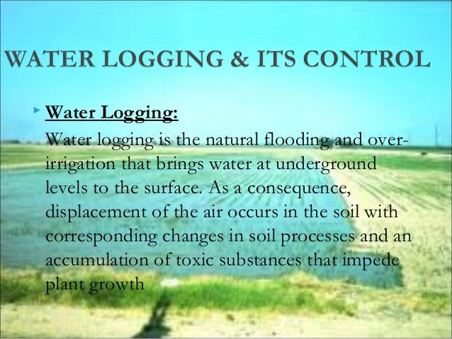 Water logging salinity