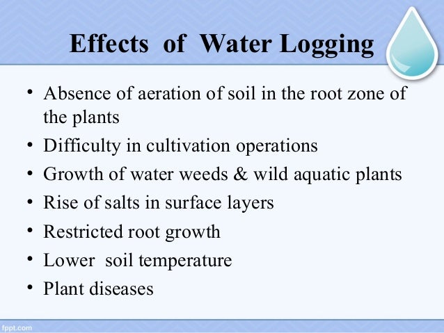 Water Logging Soils water-logging-soils