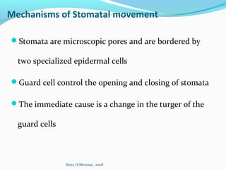 Mechanisms of Stomatal movement
Stomata are microscopic pores and are bordered by
two specialized epidermal cells
Guard cell control the opening and closing of stomata
The immediate cause is a change in the turger of the
guard cells
Beira H.Meressa , 2008
 