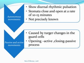 Beira H.Meressa , 2008
 