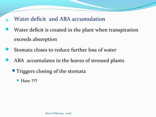 4. Water deficit and ABA accumulation
 Water deficit is created in the plant when transpiration
exceeds absorption
 Stomata closes to reduce further loss of water
 ABA accumulates in the leaves of stressed plants
Triggers closing of the stomata
 How ???
Beira H.Meressa , 2008
 