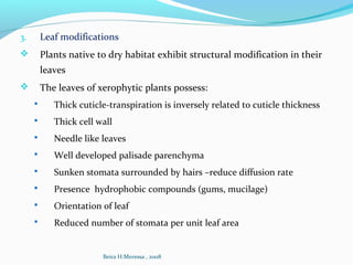 3. Leaf modifications
 Plants native to dry habitat exhibit structural modification in their
leaves
 The leaves of xerophytic plants possess:
 Thick cuticle-transpiration is inversely related to cuticle thickness
 Thick cell wall
 Needle like leaves
 Well developed palisade parenchyma
 Sunken stomata surrounded by hairs –reduce diffusion rate
 Presence hydrophobic compounds (gums, mucilage)
 Orientation of leaf
 Reduced number of stomata per unit leaf area
Beira H.Meressa , 2008
 