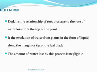 GUTTATION
Explains the relationship of root pressure to the rate of
water loss from the top of the plant
It the exudation of water from plants in the form of liquid
along the margin or tip of the leaf blade
The amount of water lost by this process is negligible
Beira H.Meressa , 2008
 
