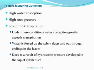 Factors favouring Guttation
High water absorption
High root pressure
Low or no transpiration
Under these conditions water absorption greatly
exceeds transpiration
Water is forced up the xylem ducts and out through
endings in the leaves
Does as a result of hydrostatic pressure developed in
the sap of xylem duct
Beira H.Meressa , 2008
 