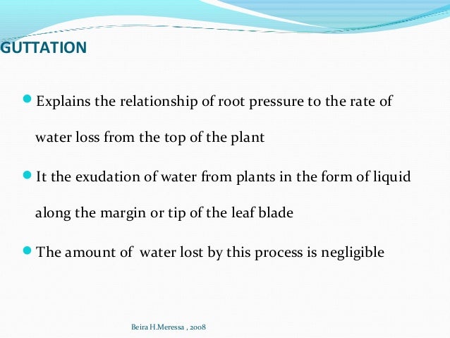 Water Loss