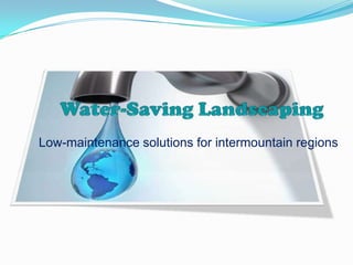 Low-maintenance solutions for intermountain regions

 