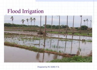 Flood Irrigation
Prepared by Mr. KORE P. N.
 