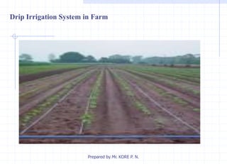 Drip Irrigation System in Farm
Prepared by Mr. KORE P. N.
 