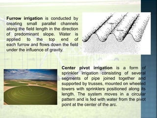Furrow irrigation is conducted by
creating small parallel channels
along the field length in the direction
of predominant slope. Water is
applied to the top end of
each furrow and flows down the field
under the influence of gravity.
Center pivot irrigation is a form of
sprinkler irrigation consisting of several
segments of pipe joined together and
supported by trusses, mounted on wheeled
towers with sprinklers positioned along its
length. The system moves in a circular
pattern and is fed with water from the pivot
point at the center of the arc.
 