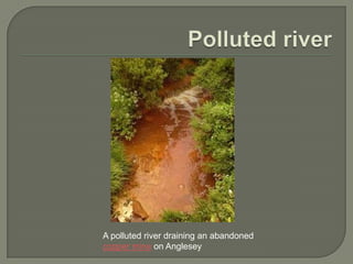 A polluted river draining an abandoned
copper mine on Anglesey
 