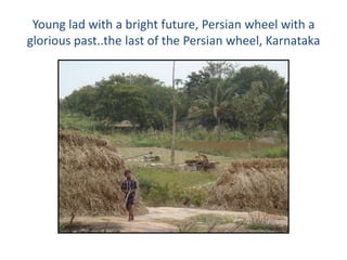 Young lad with a bright future, Persian wheel with a
glorious past..the last of the Persian wheel, Karnataka
 