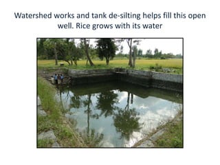Watershed works and tank de-silting helps fill this open
           well. Rice grows with its water
 