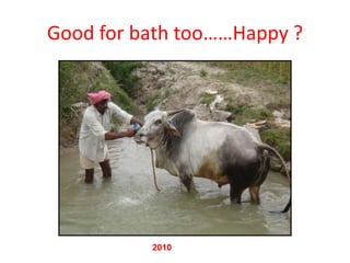 Good for bath too……Happy ?




          2010
 