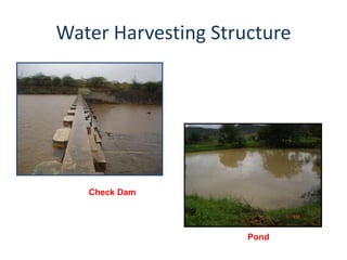 Water Harvesting Structure




   Check Dam




                     Pond
 