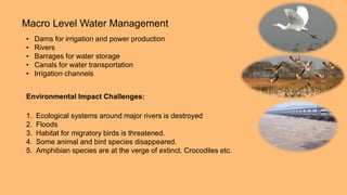Macro Level Water Management
• Dams for irrigation and power production
• Rivers
• Barrages for water storage
• Canals for water transportation
• Irrigation channels
Environmental Impact Challenges:
1. Ecological systems around major rivers is destroyed
2. Floods
3. Habitat for migratory birds is threatened.
4. Some animal and bird species disappeared.
5. Amphibian species are at the verge of extinct. Crocodiles etc.
 