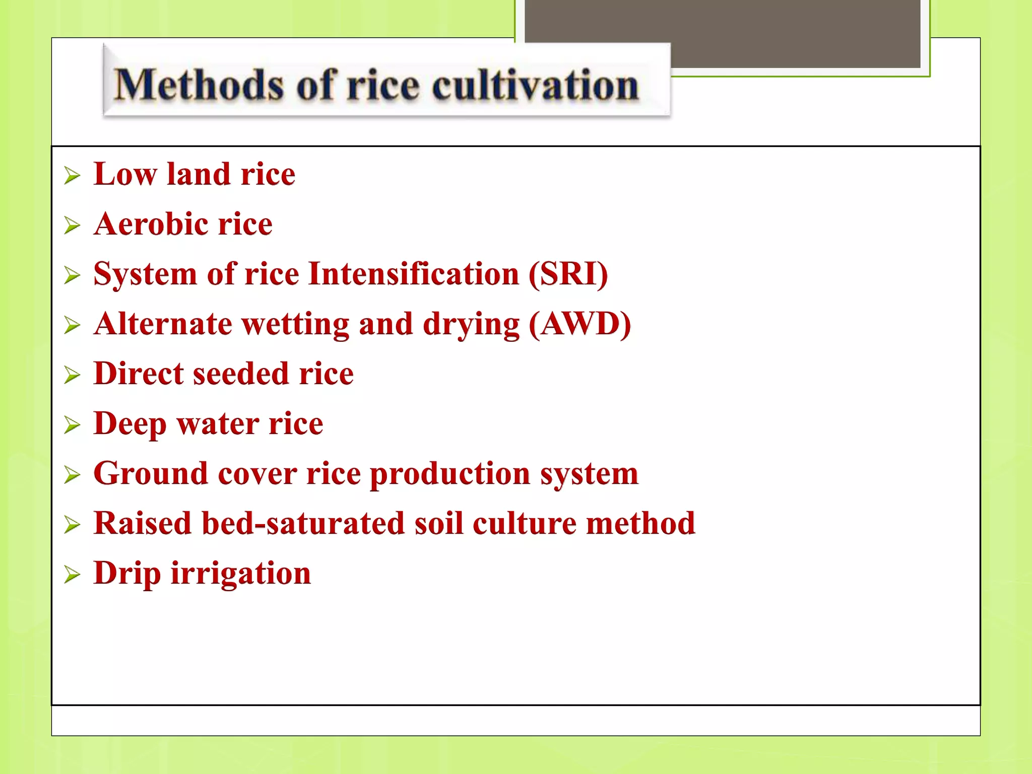  Low land rice
 Aerobic rice
 System of rice Intensification (SRI)
 Alternate wetting and drying (AWD)
 Direct seeded rice
 Deep water rice
 Ground cover rice production system
 Raised bed-saturated soil culture method
 Drip irrigation
 
