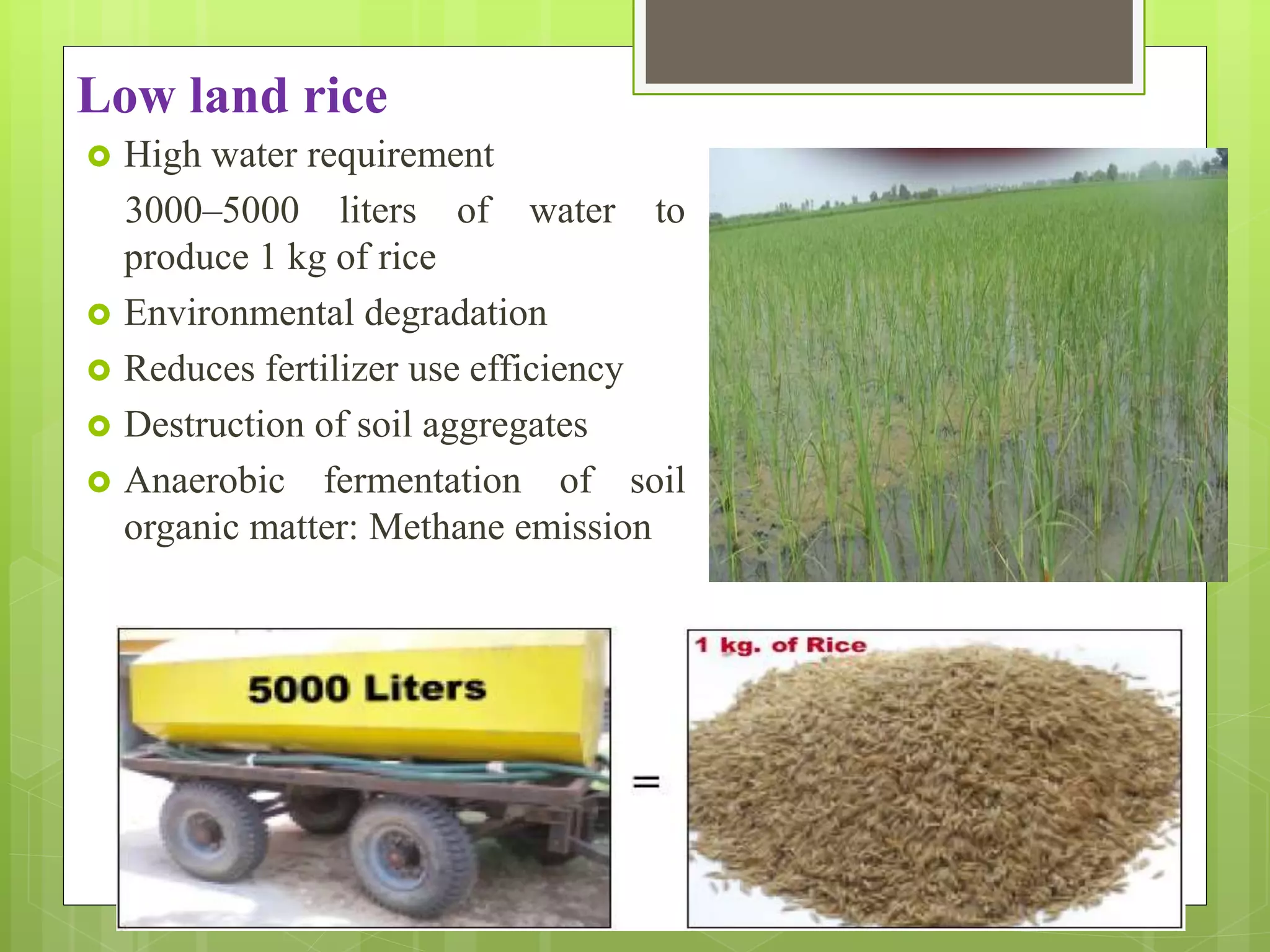 Low land rice
 High water requirement
3000–5000 liters of water to
produce 1 kg of rice
 Environmental degradation
 Reduces fertilizer use efficiency
 Destruction of soil aggregates
 Anaerobic fermentation of soil
organic matter: Methane emission
 