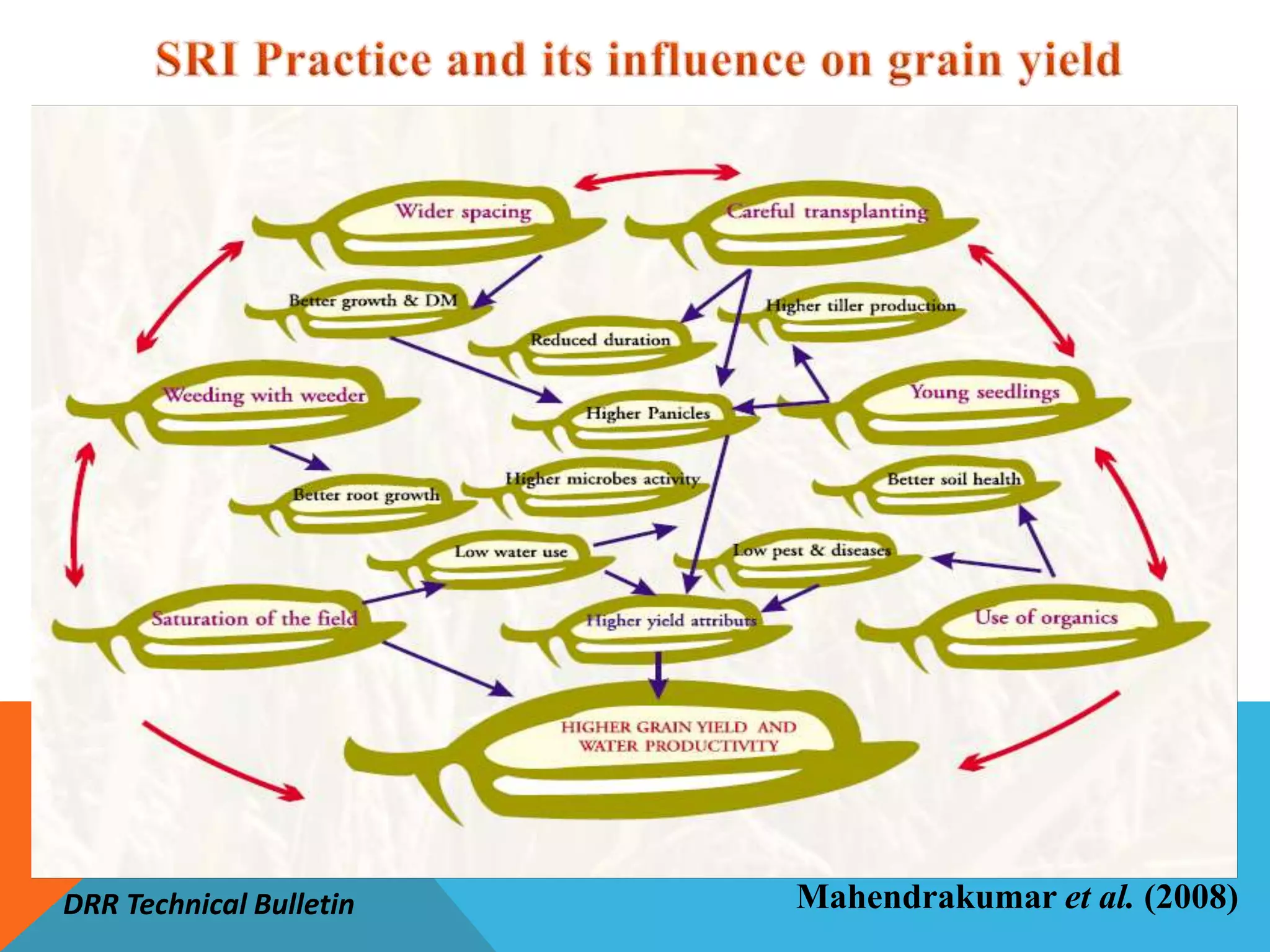 Mahendrakumar et al. (2008)
DRR Technical Bulletin
 