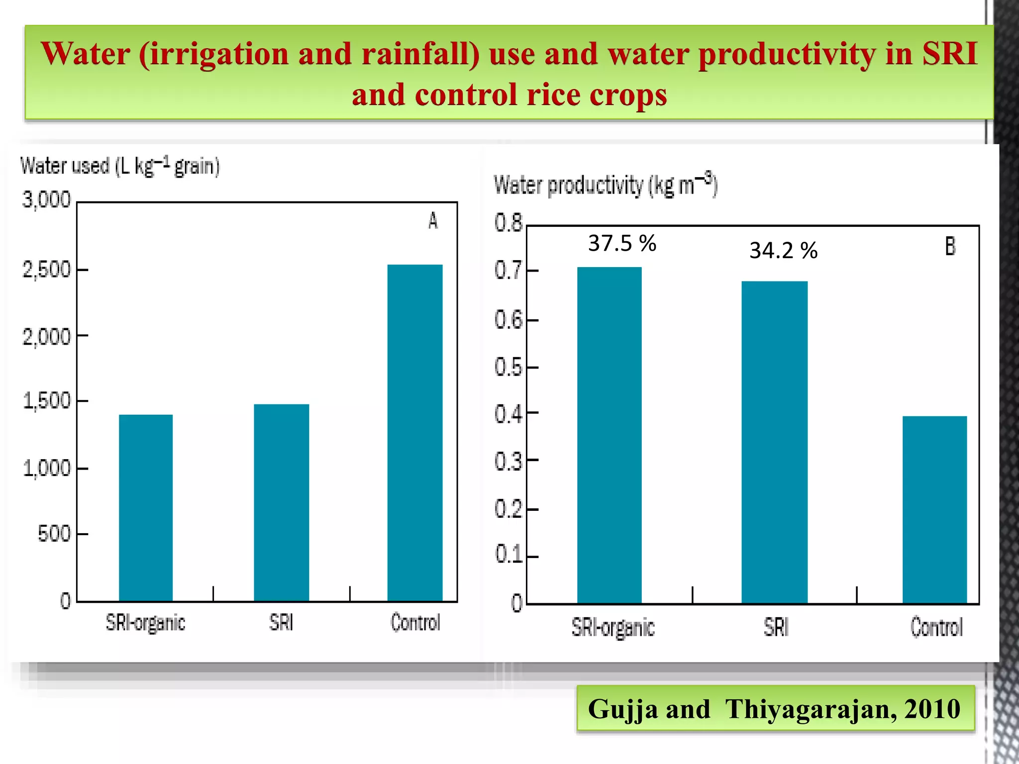 Water (irrigation and rainfall) use and water productivity in SRI
and control rice crops
Gujja and Thiyagarajan, 2010
37.5 % 34.2 %
 