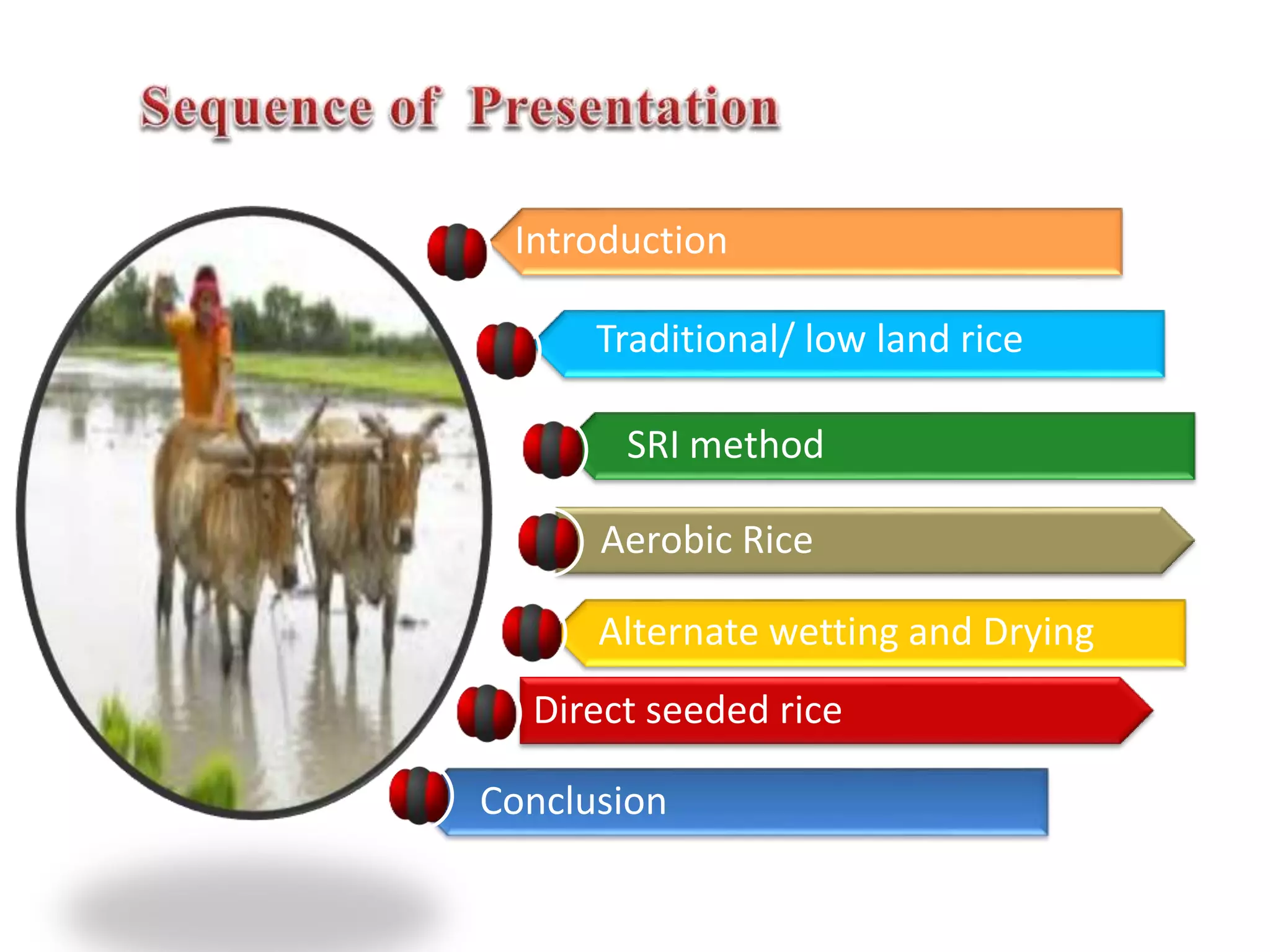 Introduction
Traditional/ low land rice
SRI method
Aerobic Rice
Alternate wetting and Drying
Direct seeded rice
Conclusion
 