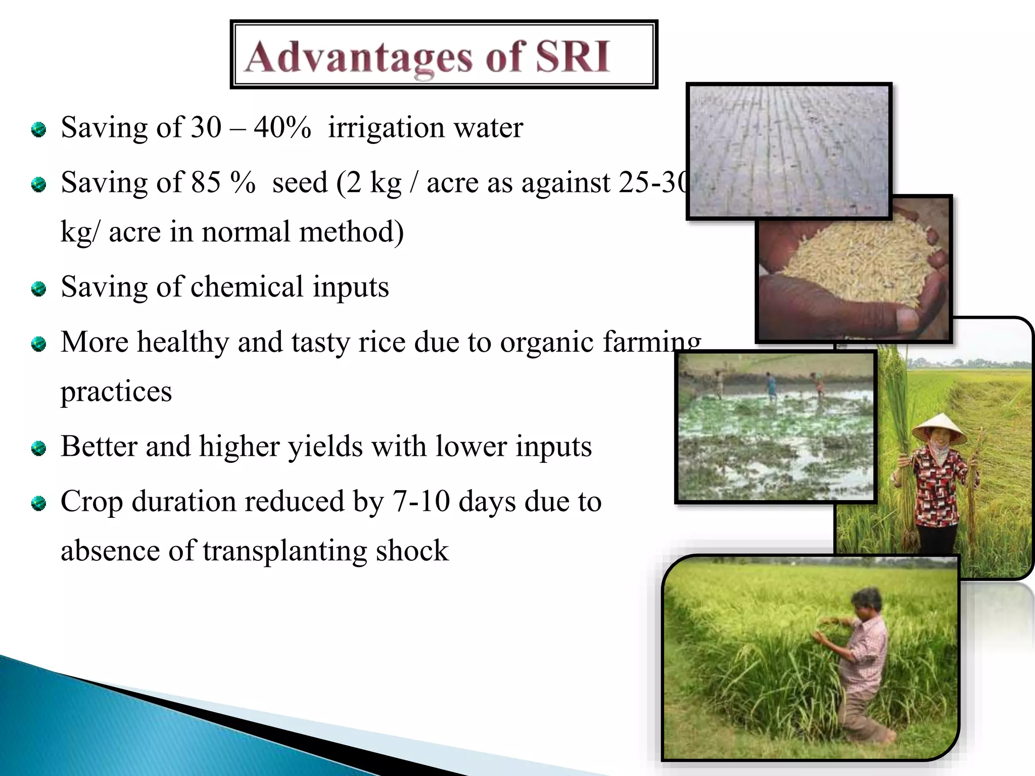 Saving of 30 – 40% irrigation water
Saving of 85 % seed (2 kg / acre as against 25-30
kg/ acre in normal method)
Saving of chemical inputs
More healthy and tasty rice due to organic farming
practices
Better and higher yields with lower inputs
Crop duration reduced by 7-10 days due to
absence of transplanting shock
 