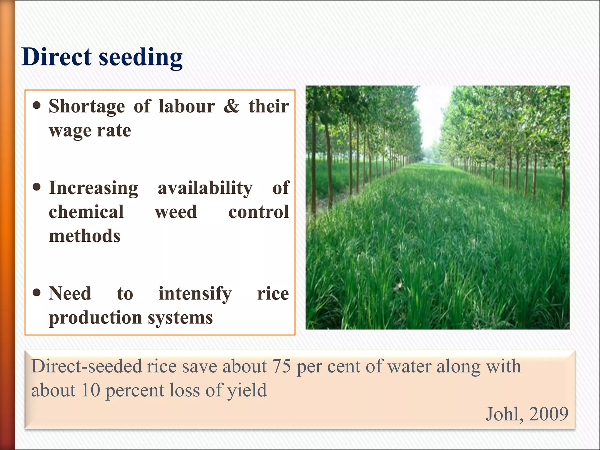 Direct seeding
 Shortage of labour & their
wage rate
 Increasing availability of
chemical weed control
methods
 Need to intensify rice
production systems
Direct-seeded rice save about 75 per cent of water along with
about 10 percent loss of yield
Johl, 2009
 