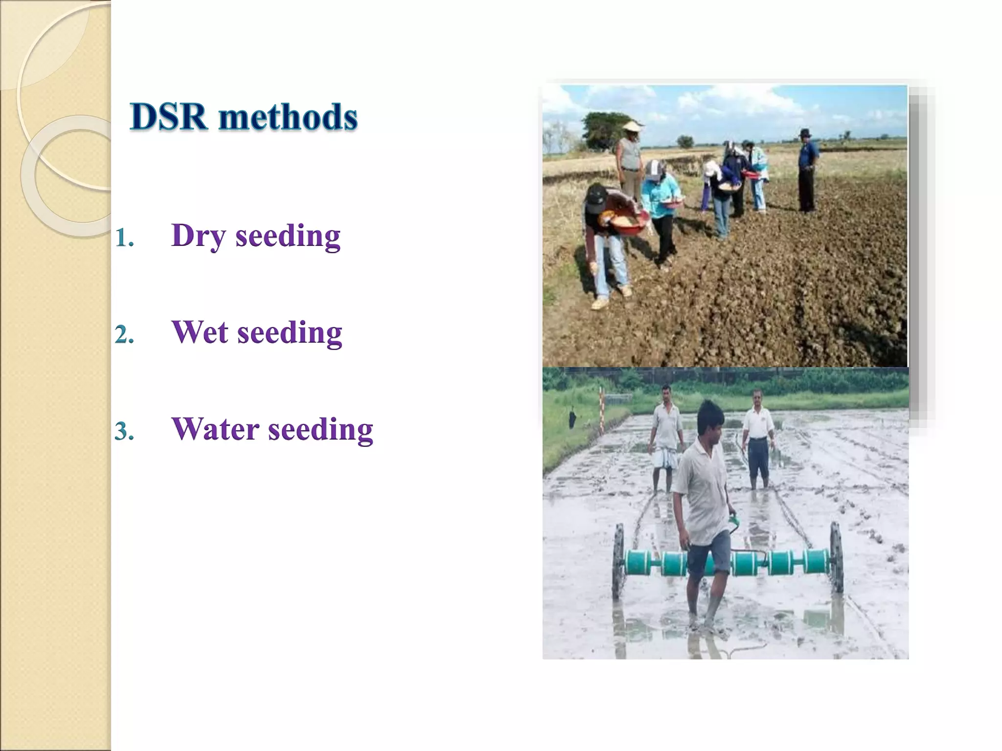 1. Dry seeding
2. Wet seeding
3. Water seeding
 