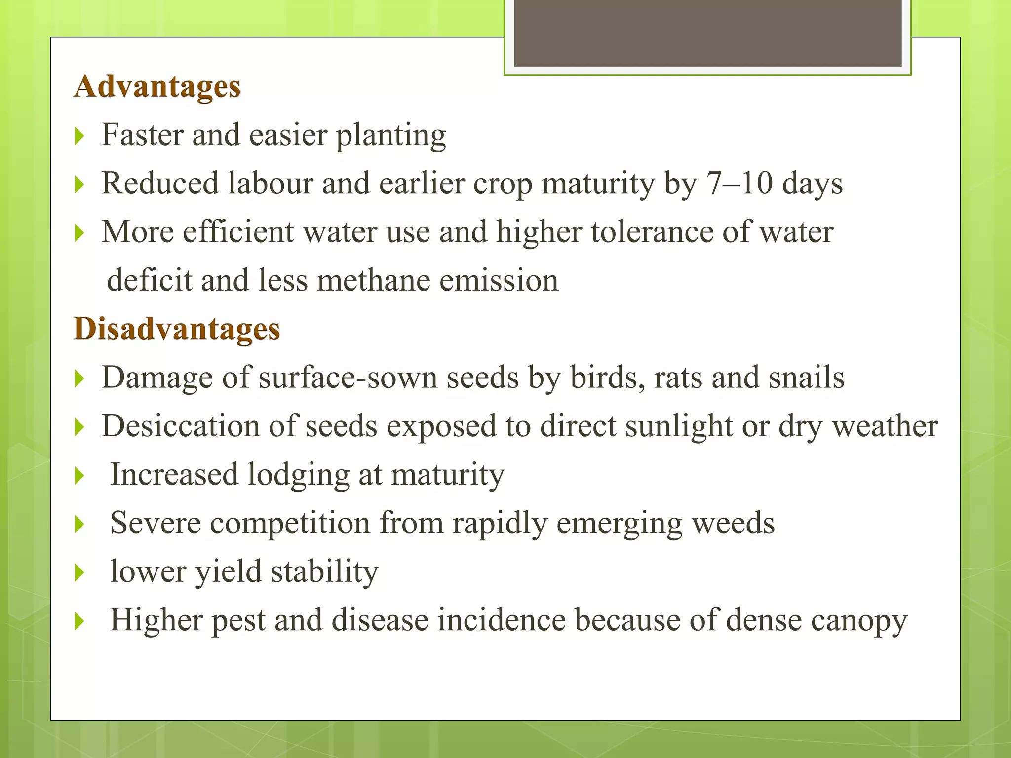 Advantages
 Faster and easier planting
 Reduced labour and earlier crop maturity by 7–10 days
 More efficient water use and higher tolerance of water
deficit and less methane emission
Disadvantages
 Damage of surface-sown seeds by birds, rats and snails
 Desiccation of seeds exposed to direct sunlight or dry weather
 Increased lodging at maturity
 Severe competition from rapidly emerging weeds
 lower yield stability
 Higher pest and disease incidence because of dense canopy
 
