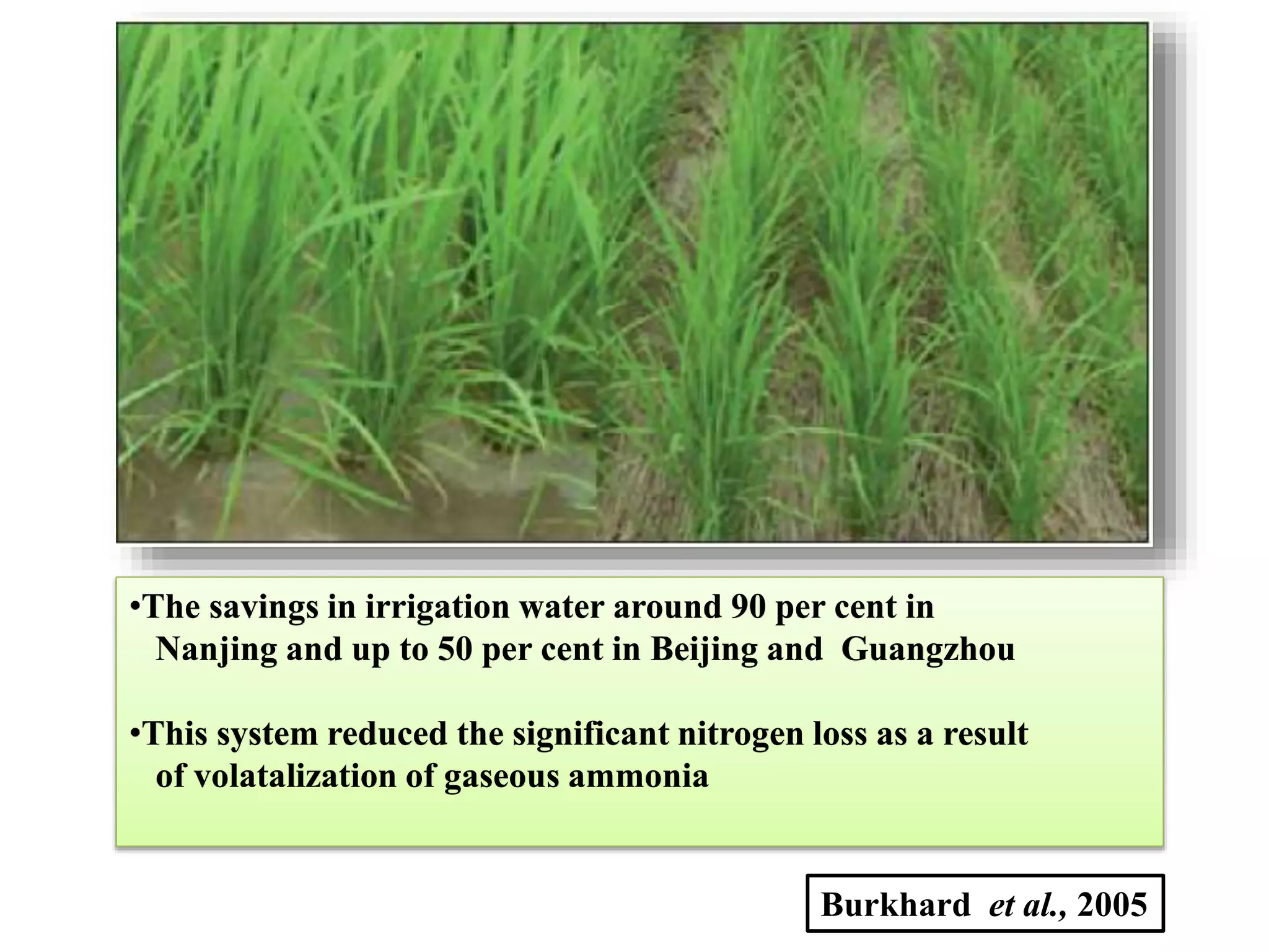 •The savings in irrigation water around 90 per cent in
Nanjing and up to 50 per cent in Beijing and Guangzhou
•This system reduced the significant nitrogen loss as a result
of volatalization of gaseous ammonia
Burkhard et al., 2005
 