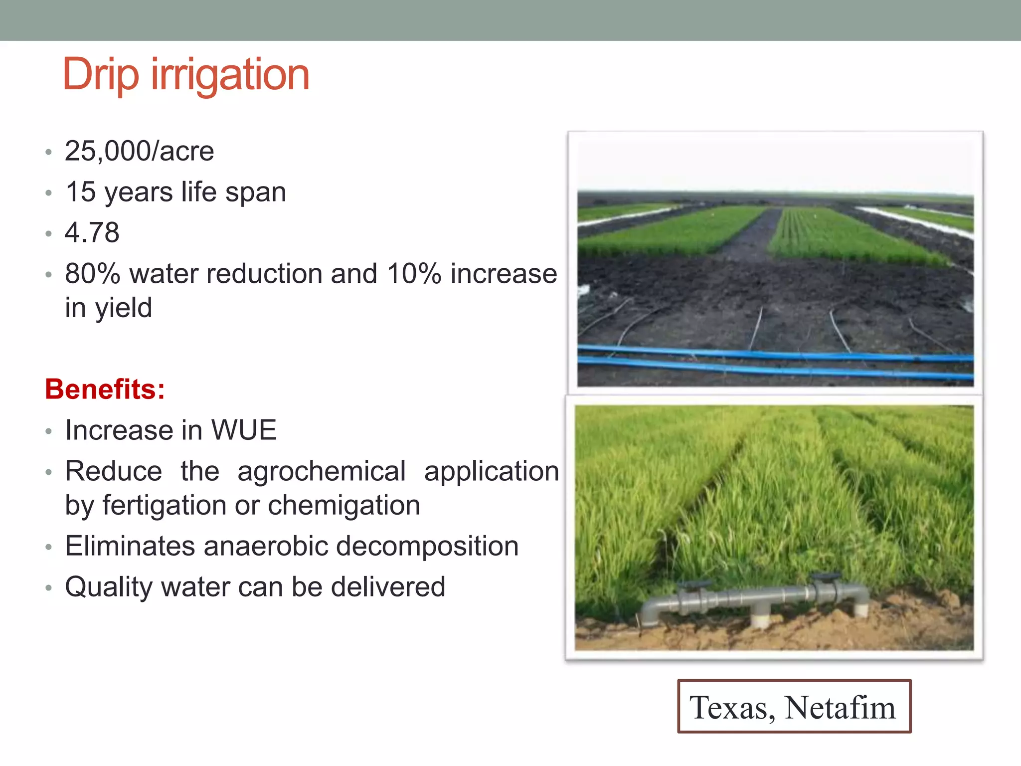 Drip irrigation
• 25,000/acre
• 15 years life span
• 4.78
• 80% water reduction and 10% increase
in yield
Benefits:
• Increase in WUE
• Reduce the agrochemical application
by fertigation or chemigation
• Eliminates anaerobic decomposition
• Quality water can be delivered
Texas, Netafim
 
