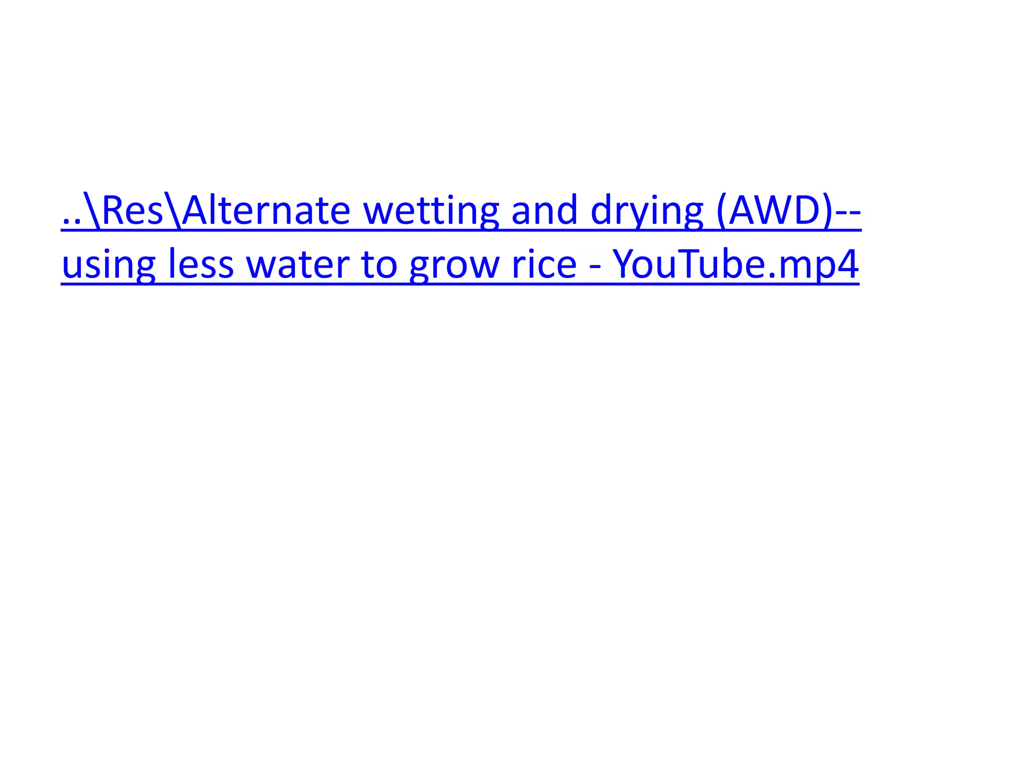 ..ResAlternate wetting and drying (AWD)--
using less water to grow rice - YouTube.mp4
 