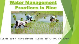 Water Management
Practices in Rice
SUBMITTED BY - AKHIL BHARTI SUBMITTED TO - DR. M.C. RANA
 