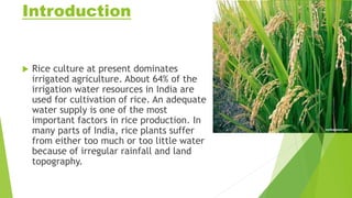 Water management practices in rice | PPTX