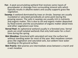 Fen Def Water management practices | PPTX