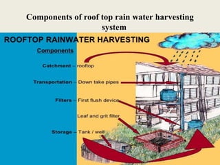Water management practices | PPTX