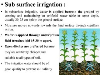 Water Management WQWE.pptx