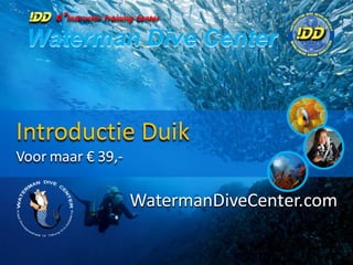 Introductie Duik
Voor maar € 39,-
WatermanDiveCenter.com
6*Instructor Training Center
Waterman Dive Center
 