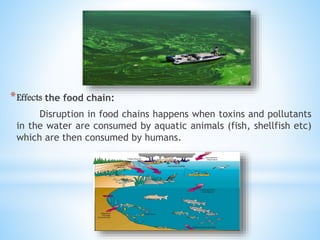 *Effects the food chain:
Disruption in food chains happens when toxins and pollutants
in the water are consumed by aquatic animals (fish, shellfish etc)
which are then consumed by humans.
 
