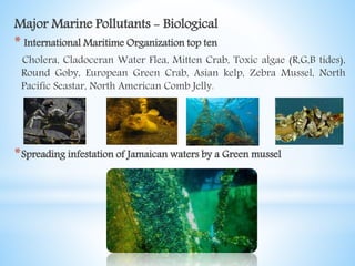 Major Marine Pollutants - Biological
* International Maritime Organization top ten
Cholera, Cladoceran Water Flea, Mitten Crab, Toxic algae (R,G,B tides),
Round Goby, European Green Crab, Asian kelp, Zebra Mussel, North
Pacific Seastar, North American Comb Jelly.
*Spreading infestation of Jamaican waters by a Green mussel
 
