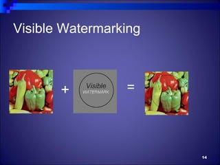 Visible Watermarking



       +         =



                       14
 