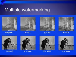 Multiple watermarking




                        26
 