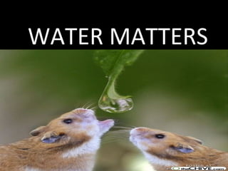 WATER MATTERS
 