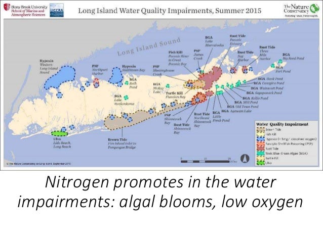Water Matters 11516 Prof Christopher Gobler