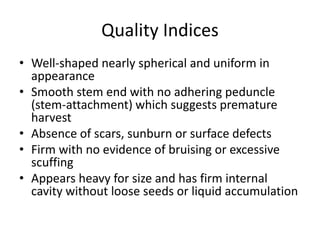 Quality Indices
• Well-shaped nearly spherical and uniform in
appearance
• Smooth stem end with no adhering peduncle
(stem-attachment) which suggests premature
harvest
• Absence of scars, sunburn or surface defects
• Firm with no evidence of bruising or excessive
scuffing
• Appears heavy for size and has firm internal
cavity without loose seeds or liquid accumulation
 