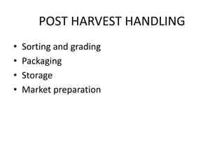 POST HARVEST HANDLING
• Sorting and grading
• Packaging
• Storage
• Market preparation
 