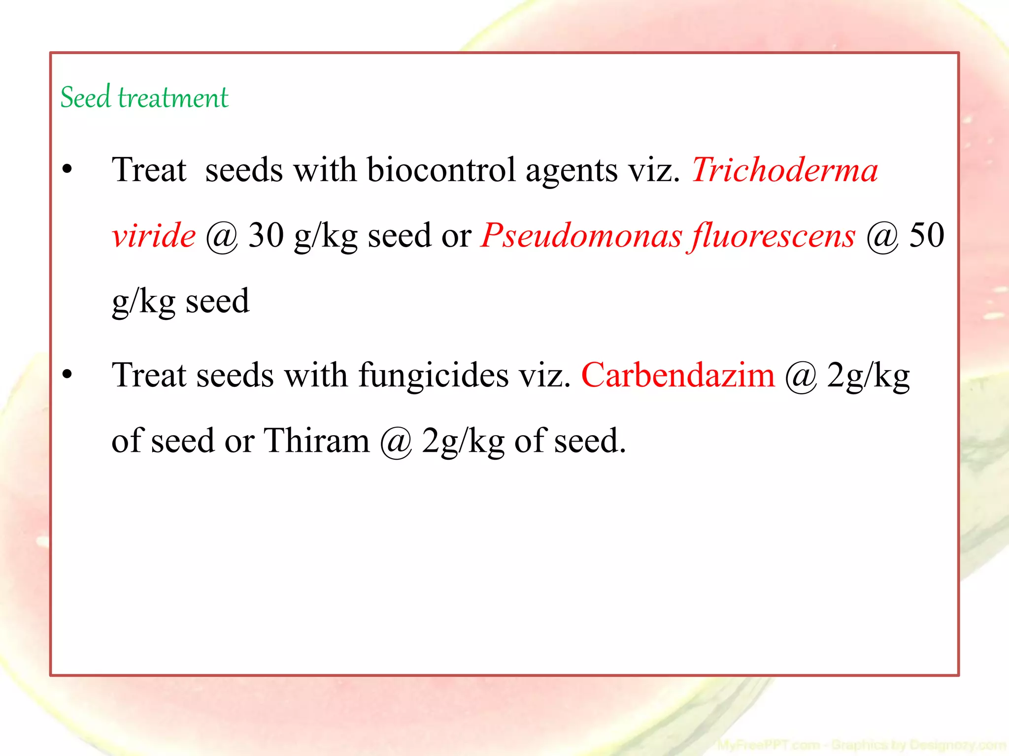 Watermelon | PPT