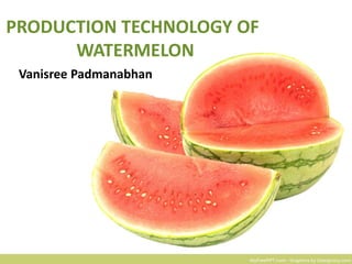 PRODUCTION TECHNOLOGY OF
WATERMELON
Vanisree Padmanabhan
 